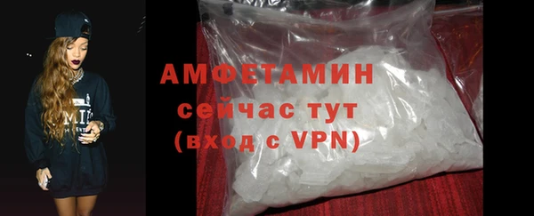 ГАЛЛЮЦИНОГЕННЫЕ ГРИБЫ Аркадак