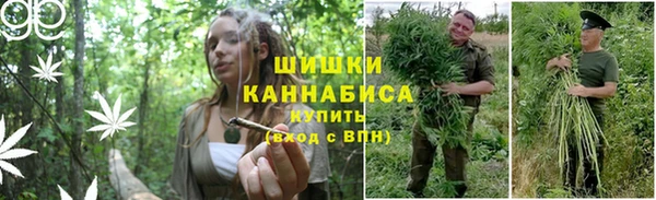 спиды Покровск