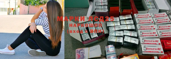 ГАЛЛЮЦИНОГЕННЫЕ ГРИБЫ Аркадак