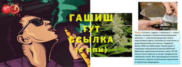 ГАЛЛЮЦИНОГЕННЫЕ ГРИБЫ Аркадак