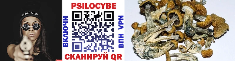 Галлюциногенные грибы мухоморы  Озёрск 